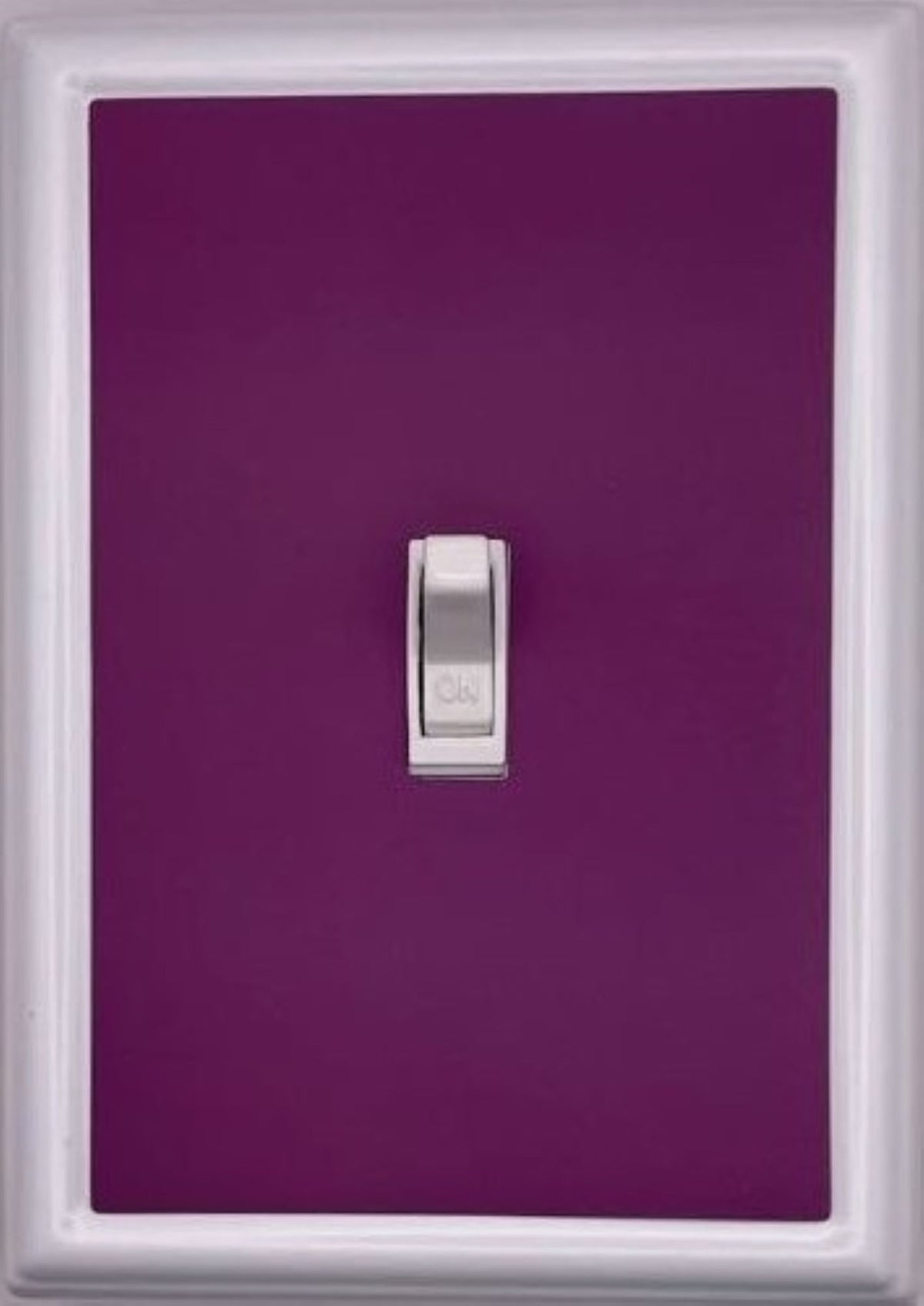 Solid Purple Decorative Magnetic Insert