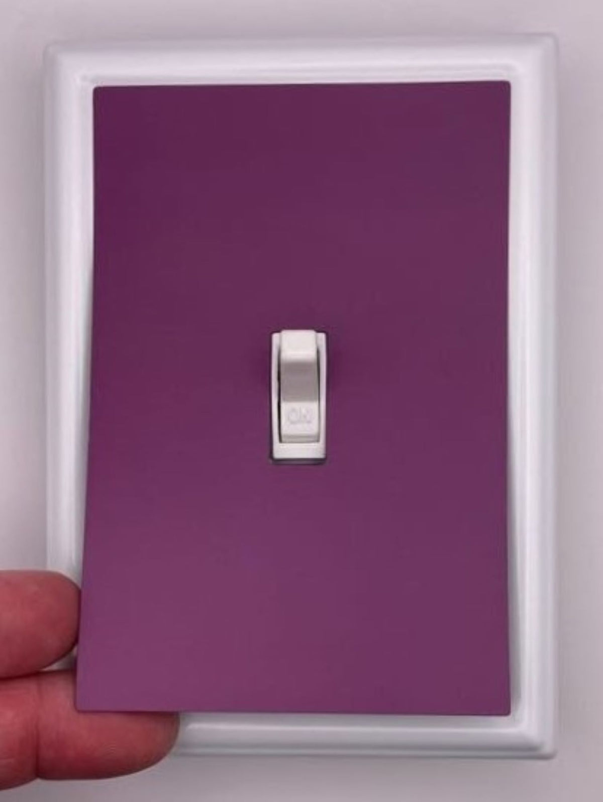 Solid Purple Decorative Magnetic Insert