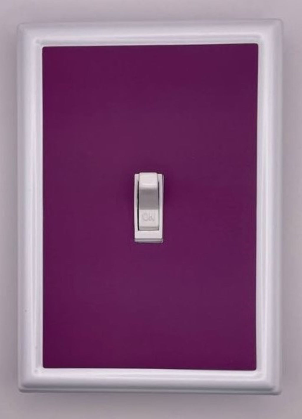 Solid Purple Decorative Magnetic Insert