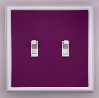 Solid Purple Decorative Magnetic Insert