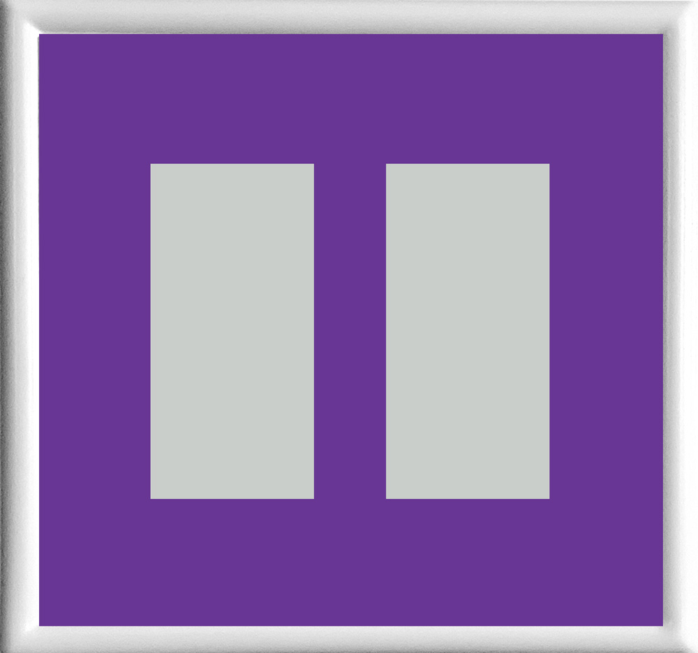 Purple Double Rocker | Decorator Receptacle