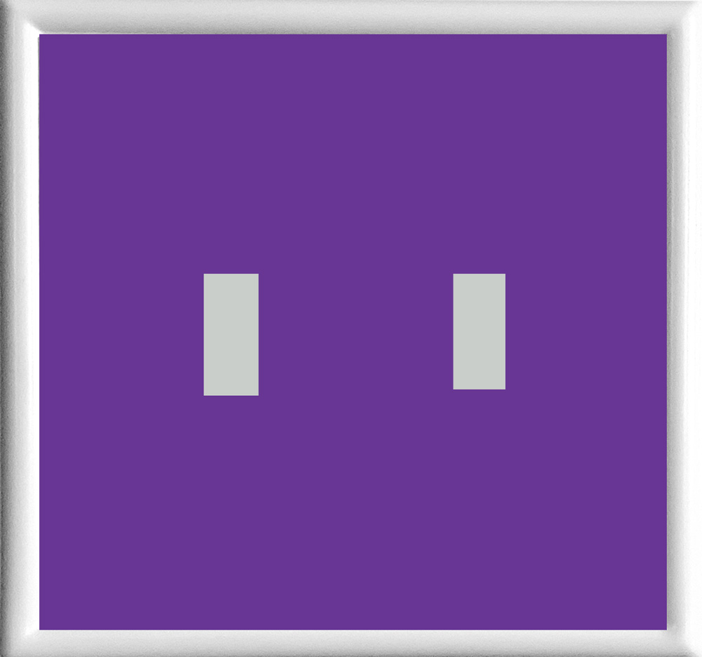 Purple Double Toggle