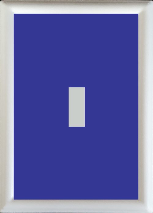 Blue Single Toggle, Decorative Magnet Inserts - Blue
