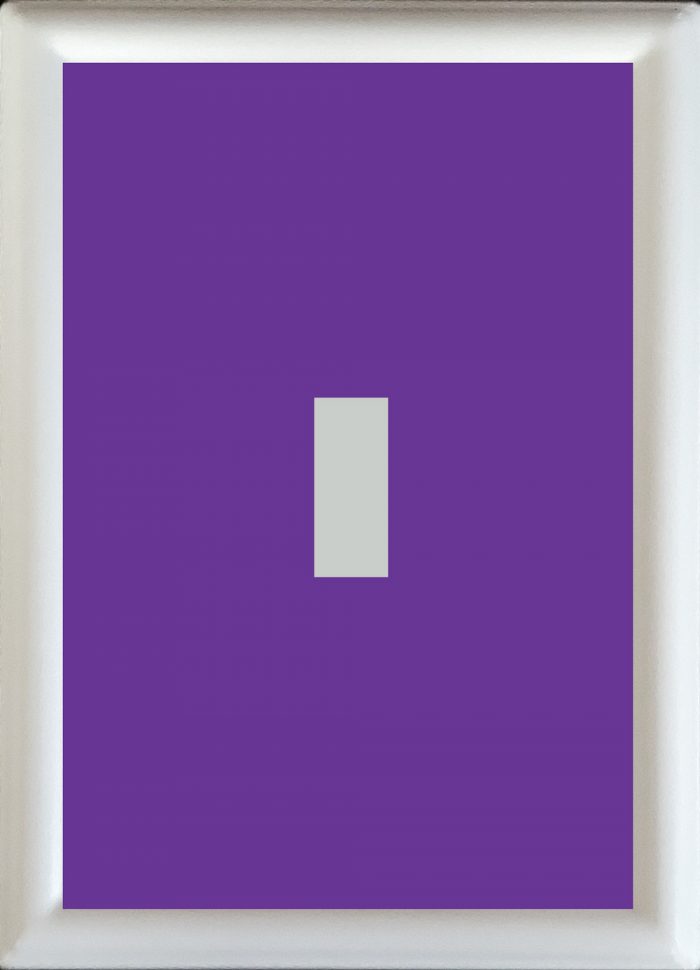 Purple Single Toggle, Decorative Magnet Inserts - Purple