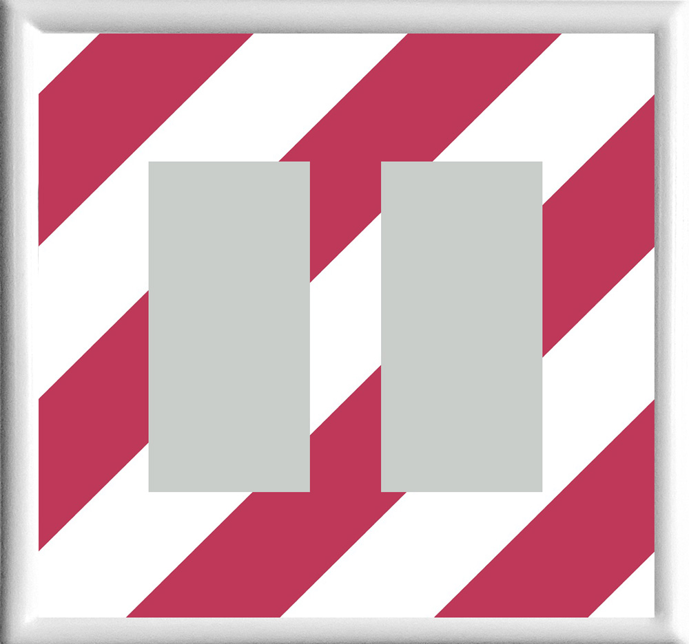 Magenta Stripes Double Rocker | Decorator Receptacle